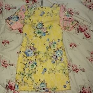 Wilster designer sample dress